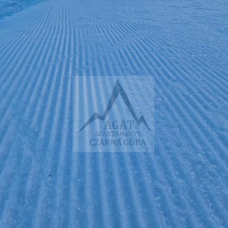 Agat Apartament Czarna Gora 西恩纳 外观 照片